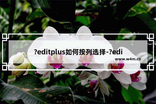 ?editplus如何按列选择-?editplus按列选择的方法