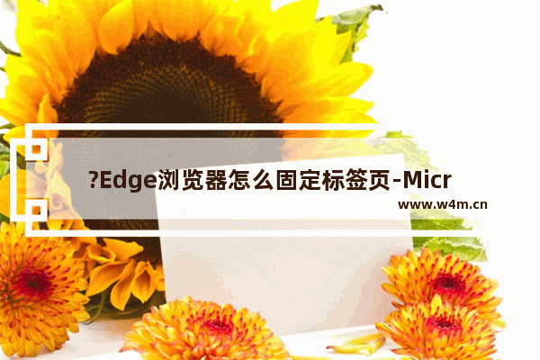 ?Edge浏览器怎么固定标签页-Microsoft edge浏览器中固定打开某一网页的方法教程