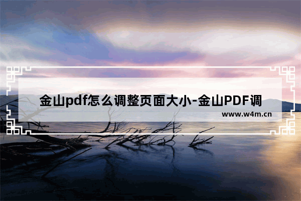 金山pdf怎么调整页面大小-金山PDF调整页面大小的方法