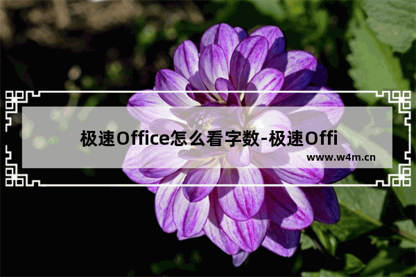 极速Office怎么看字数-极速Office2019统计字数的方法