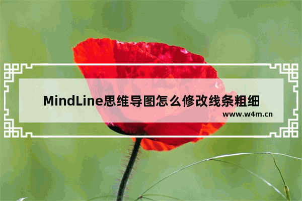 MindLine思维导图怎么修改线条粗细-MindLine思维导图设置线条粗细的方法