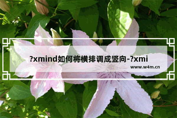 ?xmind如何将横排调成竖向-?xmind把横向图设置为竖向的方法