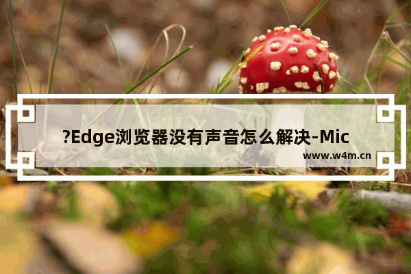 ?Edge浏览器没有声音怎么解决-Microsoft edge浏览器解决网页没有声音的方法教程