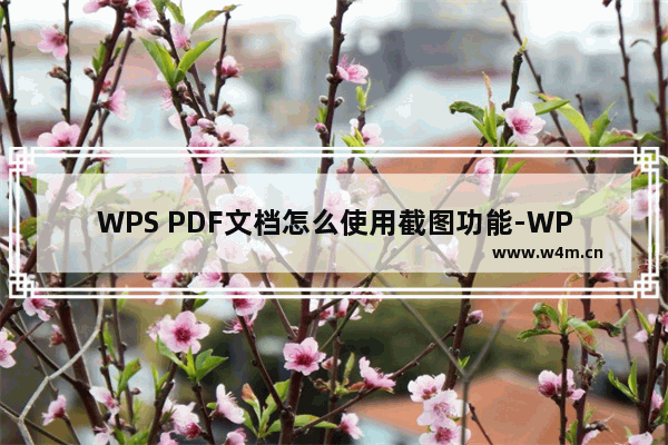 WPS PDF文档怎么使用截图功能-WPS PDF进行截图的方法