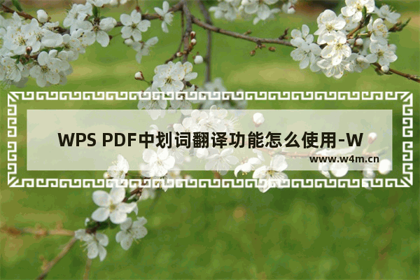 WPS PDF中划词翻译功能怎么使用-WPS PDF中划词翻译功能的使用方法