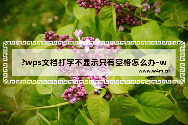 ?wps文档打字不显示只有空格怎么办-wps文档打字显示空白的解决方法