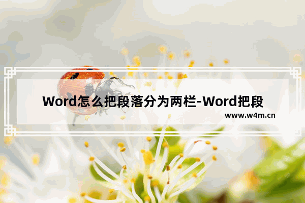 Word怎么把段落分为两栏-Word把段落分为两栏的方法