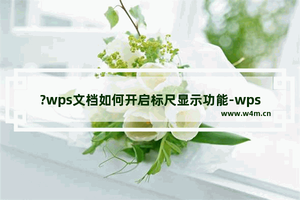 ?wps文档如何开启标尺显示功能-wps文档标尺消失不见的解决方法