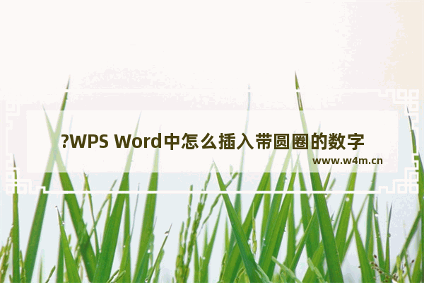 ?WPS Word中怎么插入带圆圈的数字-WPS文档给数字添加带圈格式的方法教程