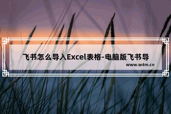 飞书怎么导入Excel表格-电脑版飞书导入Excel表格的方法