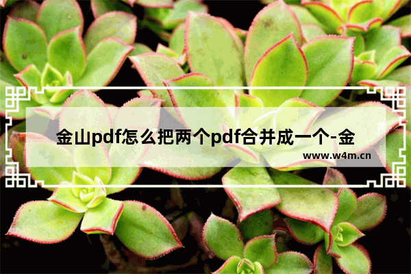 金山pdf怎么把两个pdf合并成一个-金山pdf把两个pdf合并成一个的方法