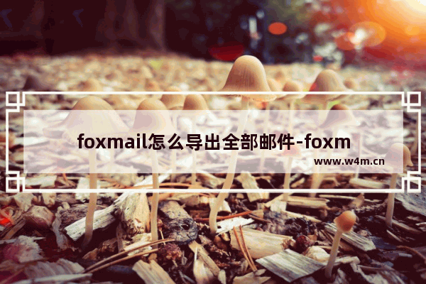 foxmail怎么导出全部邮件-foxmail批量导出邮件的方法