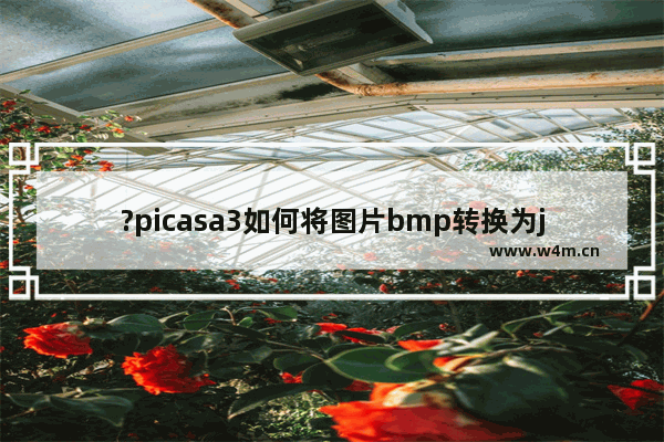 ?picasa3如何将图片bmp转换为jpg-?picasa3将图片bmp转换为jpg的方法