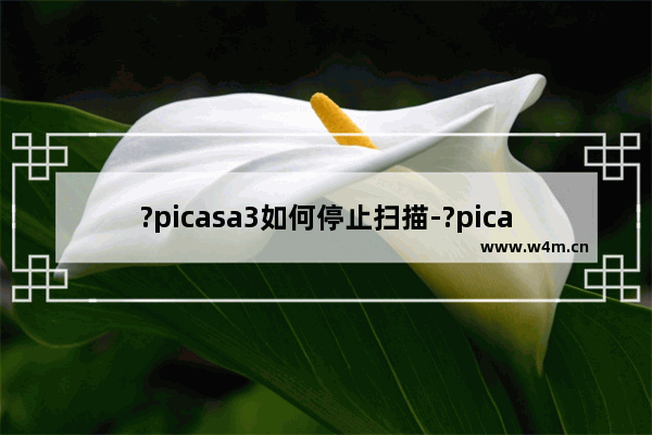 ?picasa3如何停止扫描-?picasa3不自动扫描图片的设置方法