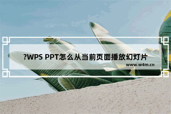 ?WPS PPT怎么从当前页面播放幻灯片-WPS演示文稿设置从当前页面放映的方法教程