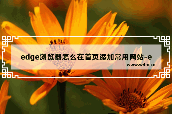 edge浏览器怎么在首页添加常用网站-edge浏览器在主页面添加网站的方法