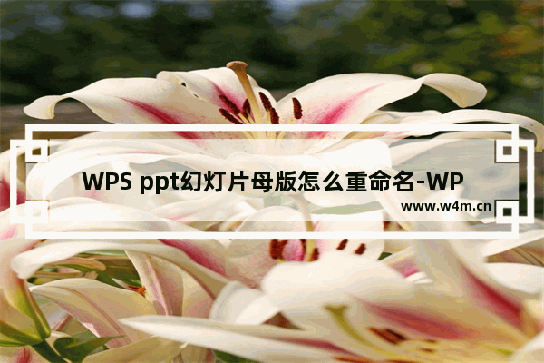 WPS ppt幻灯片母版怎么重命名-WPS ppt幻灯片母版进行重命名的方法