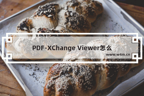 PDF-XChange Viewer怎么查找文字内容-PDF-XChange Viewer快速查找文字内容的方法