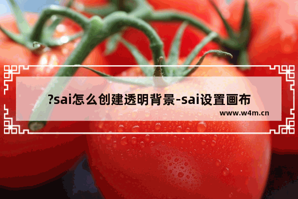 ?sai怎么创建透明背景-sai设置画布背景的透明效果的方法