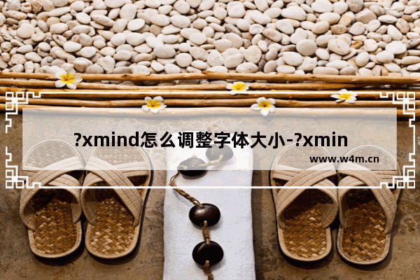 ?xmind怎么调整字体大小-?xmind调整主题文字大小的方法