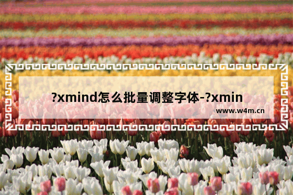 ?xmind怎么批量调整字体-?xmind调整主题字体的方法