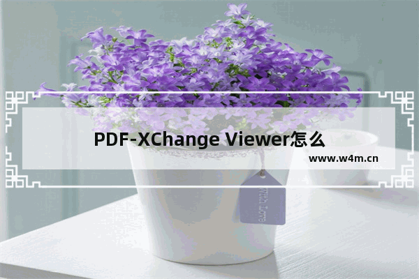 PDF-XChange Viewer怎么添加空白页-PDF-XChange Viewer插入空白页面的方法