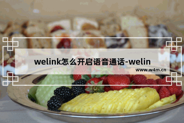 welink怎么开启语音通话-welink开启语音通话的方法