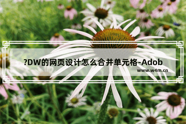 ?DW的网页设计怎么合并单元格-Adobe Dreamweaver中将表格单元格合并的方法教程