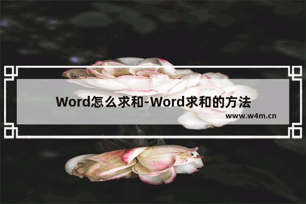 Word怎么求和-Word求和的方法