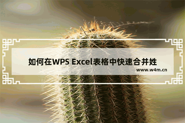 如何在WPS Excel表格中快速合并姓名-WPS Excel中快速合并姓名的方法