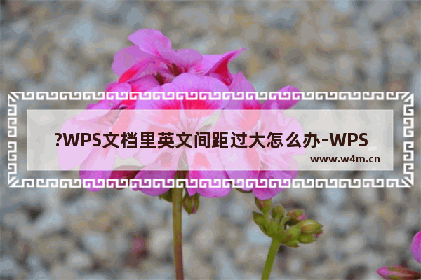 ?WPS文档里英文间距过大怎么办-WPS Word解决英文字母间隔过大的方法教程