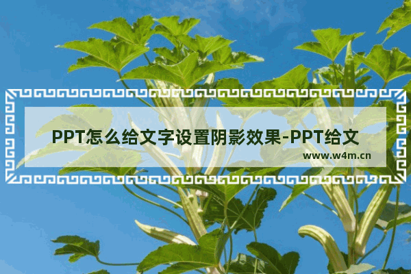 PPT怎么给文字设置阴影效果-PPT给文字设置阴影效果的方法