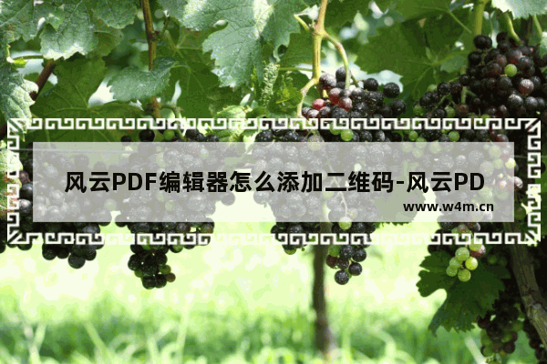 风云PDF编辑器怎么添加二维码-风云PDF编辑器创建二维码的方法