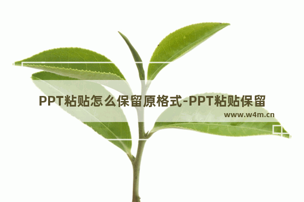 PPT粘贴怎么保留原格式-PPT粘贴保留原格式的方法