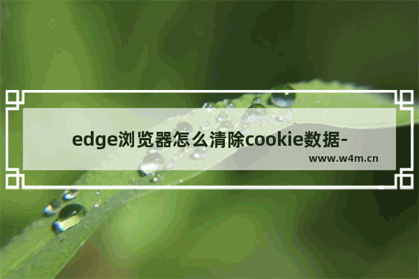 edge浏览器怎么清除cookie数据-edge浏览器清除cookie和其他站点数据的方法