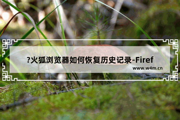 ?火狐浏览器如何恢复历史记录-Firefox中恢复历史记录的方法教程