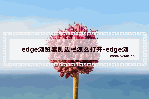 edge浏览器侧边栏怎么打开-edge浏览器打开侧边栏的方法