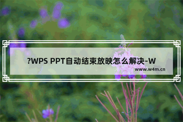 ?WPS PPT自动结束放映怎么解决-WPS演示文稿解决自动结束放映的方法教程