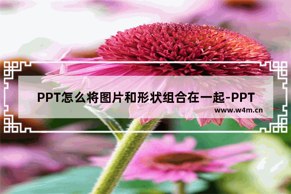 PPT怎么将图片和形状组合在一起-PPT将图片和形状组合在一起的方法