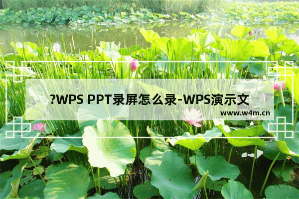 ?WPS PPT录屏怎么录-WPS演示文稿中进行录屏的方法教程