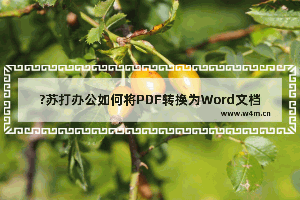 ?苏打办公如何将PDF转换为Word文档-苏打办公将PDF转为Word可编辑格式的方法教程