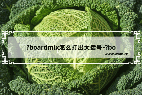 ?boardmix怎么打出大括号-?boardmix绘制大括号的方法