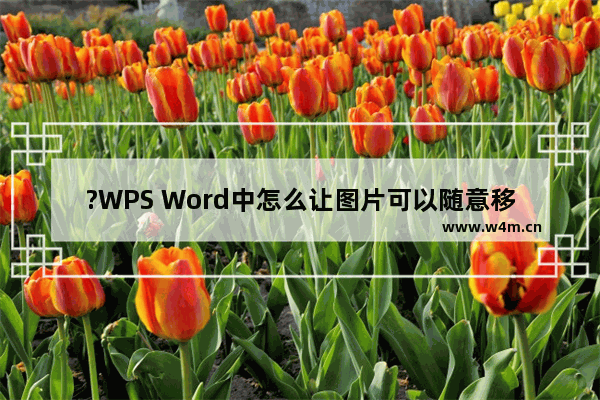 ?WPS Word中怎么让图片可以随意移动-WPS文档中移动图片的方法教程