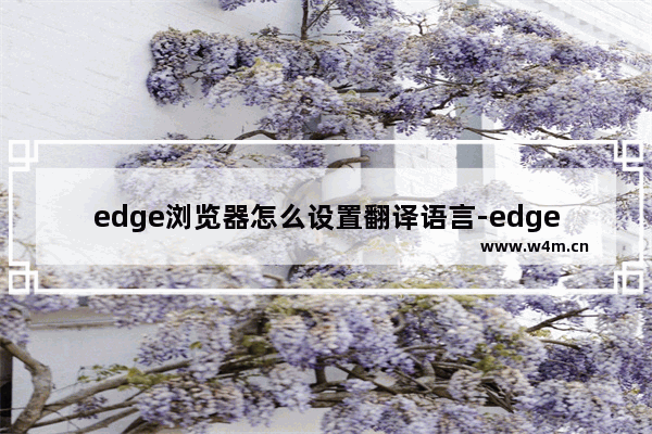 edge浏览器怎么设置翻译语言-edge浏览器切换翻译语言的方法