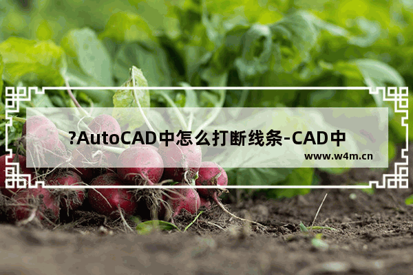 ?AutoCAD中怎么打断线条-CAD中使用打断命令断开线条的方法教程