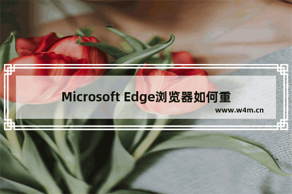 Microsoft Edge浏览器如何重置-edge浏览器进行重置的方法