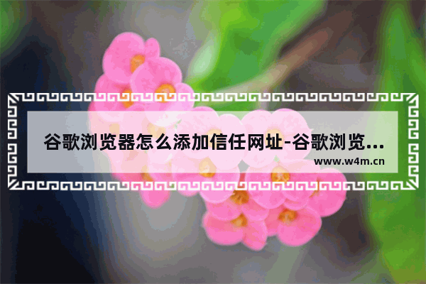 谷歌浏览器怎么添加信任网址-谷歌浏览器添加信任站点的方法