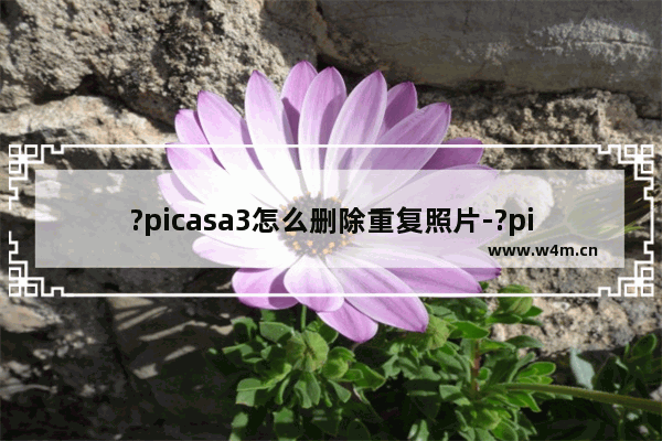 ?picasa3怎么删除重复照片-?picasa3删除重复照片的方法