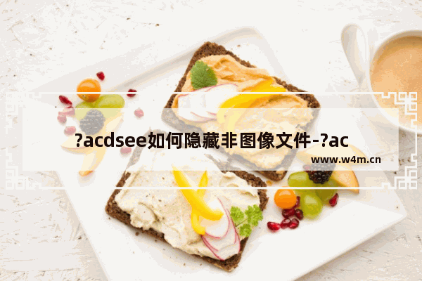 ?acdsee如何隐藏非图像文件-?acdsee隐藏非图像文件的方法