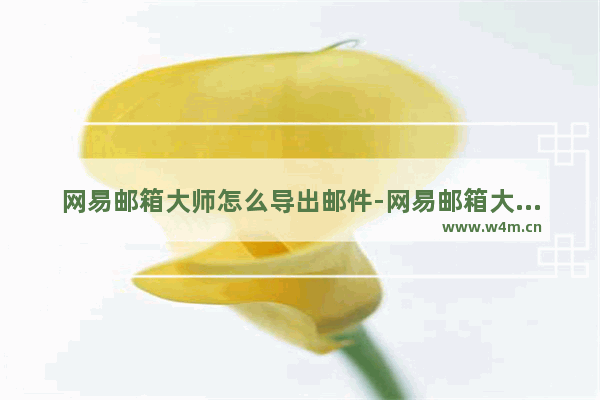 网易邮箱大师怎么导出邮件-网易邮箱大师导出邮件的方法